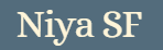 Niya — Silicon Valley Venture Studio